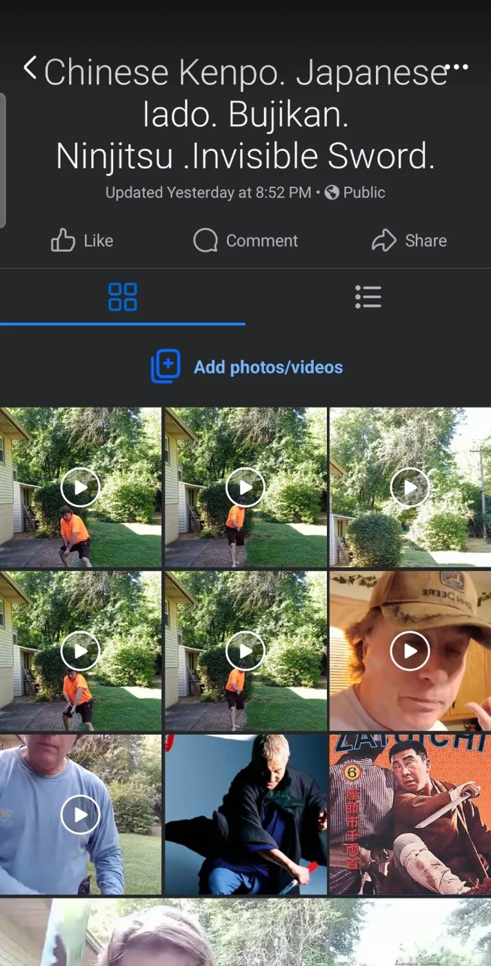 Screenshot of Robert L. Brown Facebook martial arts video collection